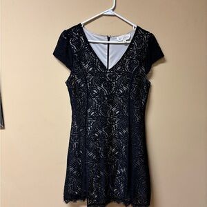 Sweet Wanderer Navy Lace Mini Dress